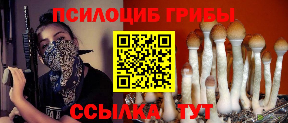 Галлюциногенные грибы Magic Shrooms  Вход с VPN  наркошоп  Ковров 