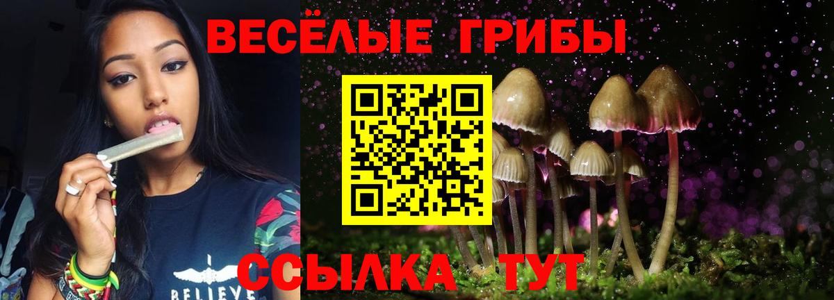 Галлюциногенные грибы ЛСД Ковров